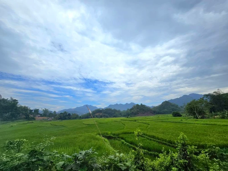 Bán đất 840m2 view cánh đồng Đà Bắc, Hòa Bình