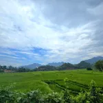 Bán đất 840m2 view cánh đồng Đà Bắc, Hòa Bình - Ảnh thu nhỏ 1