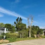 Bán đất 100% thổ cư Búng Gội, 494m2 giá 4.3tỷ, ngang 16.5m view núi đẹp, về sân bay Phú Quốc 20phut - Ảnh thu nhỏ 11