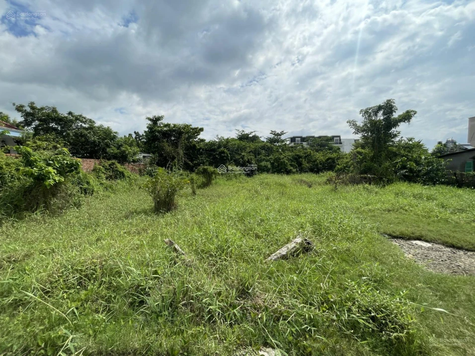 Đất trống 264m2 tại hẻm Huỳnh Hoàng Hiển - đường 3 Ngàn Thành phố Tân An, Long An - Ảnh thu nhỏ 2