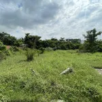 Đất trống 264m2 tại hẻm Huỳnh Hoàng Hiển - đường 3 Ngàn Thành phố Tân An, Long An - Ảnh thu nhỏ 2