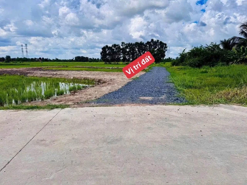 Bán đất thổ cư 140m² Bình Lợi, Đức Hoà, Long An 630 triệu