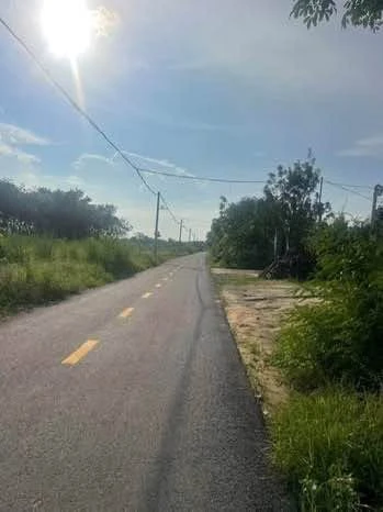 Bán đất 382m2 mặt tiền Đồng Nai, gần sân bay Long Thành - Ảnh thu nhỏ 2