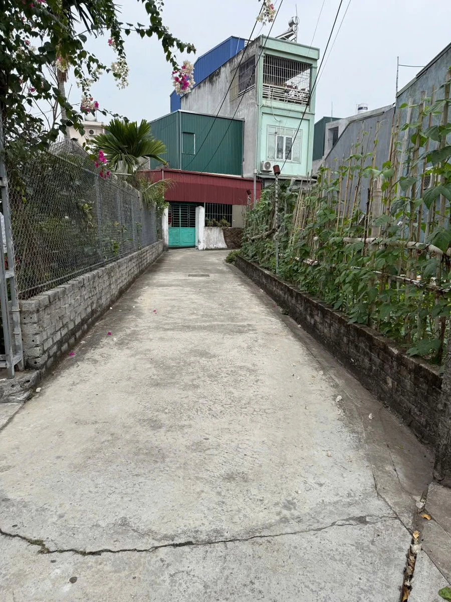 Bán lô góc 73,2m2 mặt tiền 4m Hải Phòng - Ảnh thu nhỏ 4