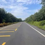Bán đất Tân Bình 8900m2, cao su 5 năm, 6 tỷ - Ảnh thu nhỏ 1