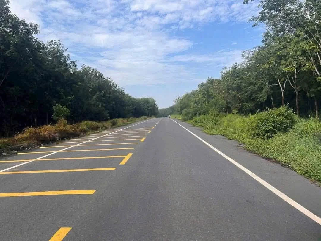 Bán đất Tân Bình 8900m2, cao su 5 năm, 6 tỷ - Ảnh 1
