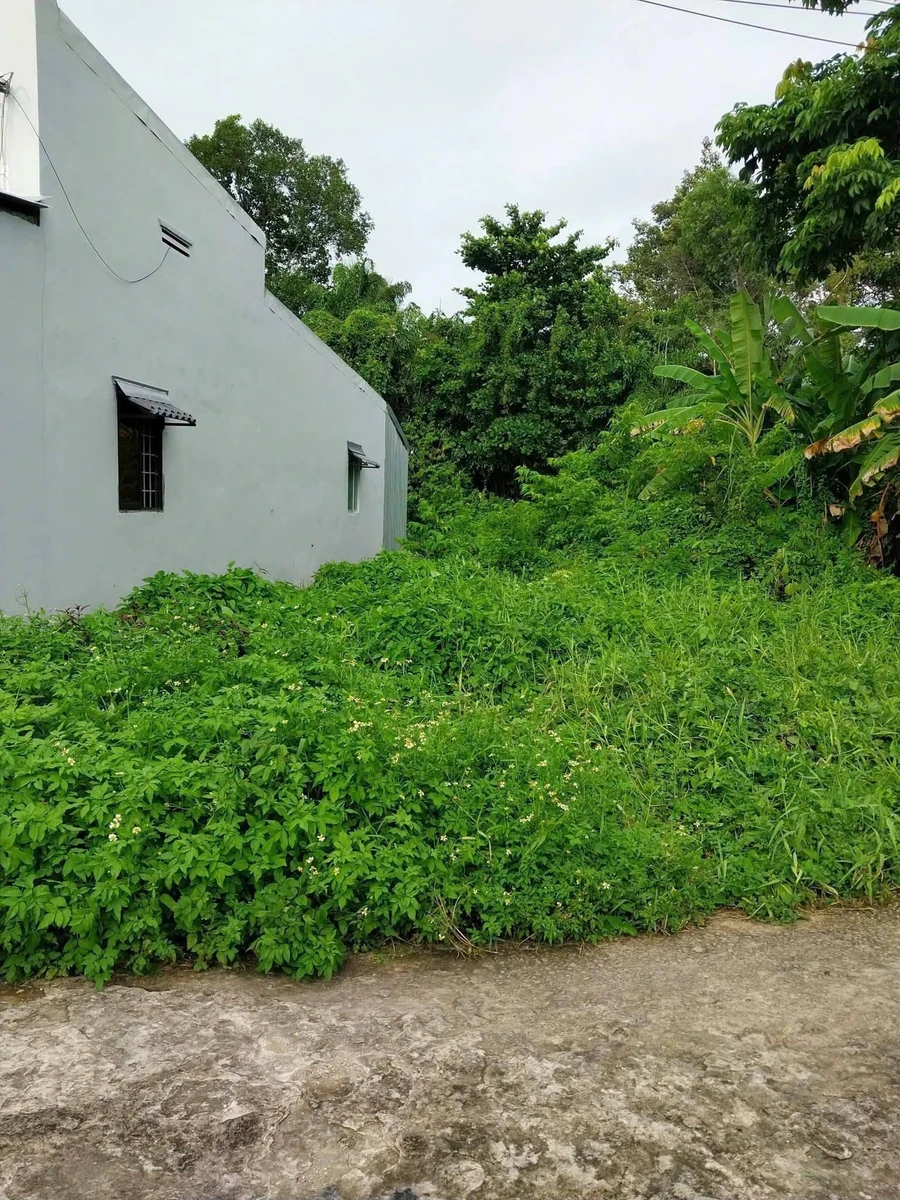 Bán đất nền 105m² Kiên Giang 260 triệu - Ảnh 1