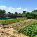 Bán lô đất sổ riêng 216m² Tân Triều Đồng Nai 1 tỷ 6 - Ảnh thu nhỏ 3