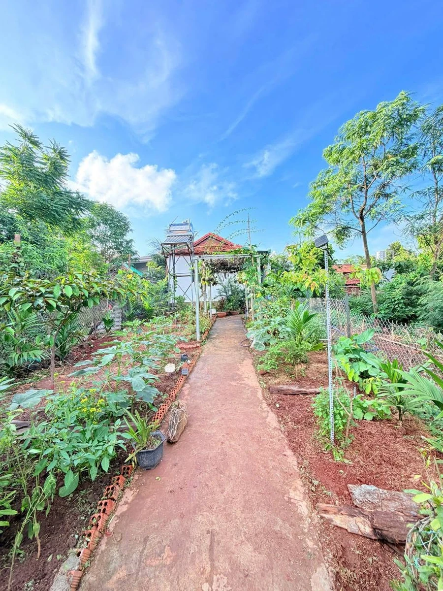 Bán nhà vườn 420m2 hẻm Ymoal Thủ Đức 2 tỷ 5 - Ảnh thu nhỏ 2
