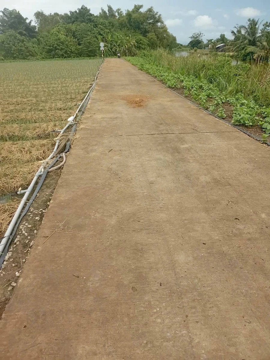 Bán đất 2098m² giá 1 tỷ 680 triệu Cần Thơ - Ảnh thu nhỏ 3