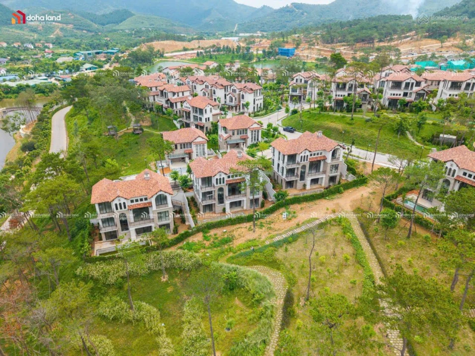 Căn biệt thự đồi thông giá ngoại giao - Ảnh thu nhỏ 3