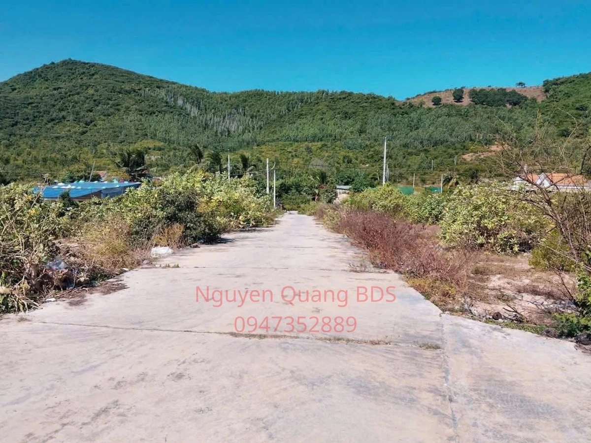 Bán đất biển Dốc Lết 152m2 Khánh Hòa - Ảnh thu nhỏ 3