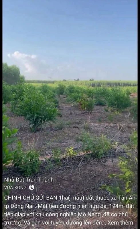 Bán đất 1ha mặt tiền 194m Tân An Đồng Nai