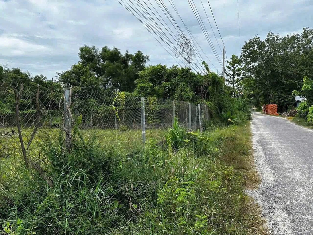 Bán đất 1.400m² sân vườn Hòa Thành, Hóc Môn - Ảnh 1