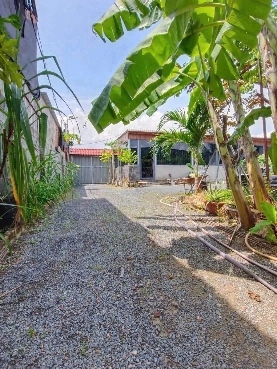 Bán nhà vườn 620m² Phường Bửu Long, giá 3 tỷ - Ảnh thu nhỏ 4