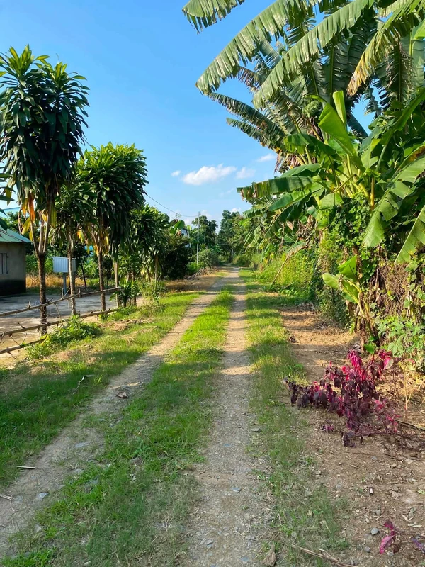 Bán đất Đạ Tẻh Lâm Đồng 150m2 380 triệu