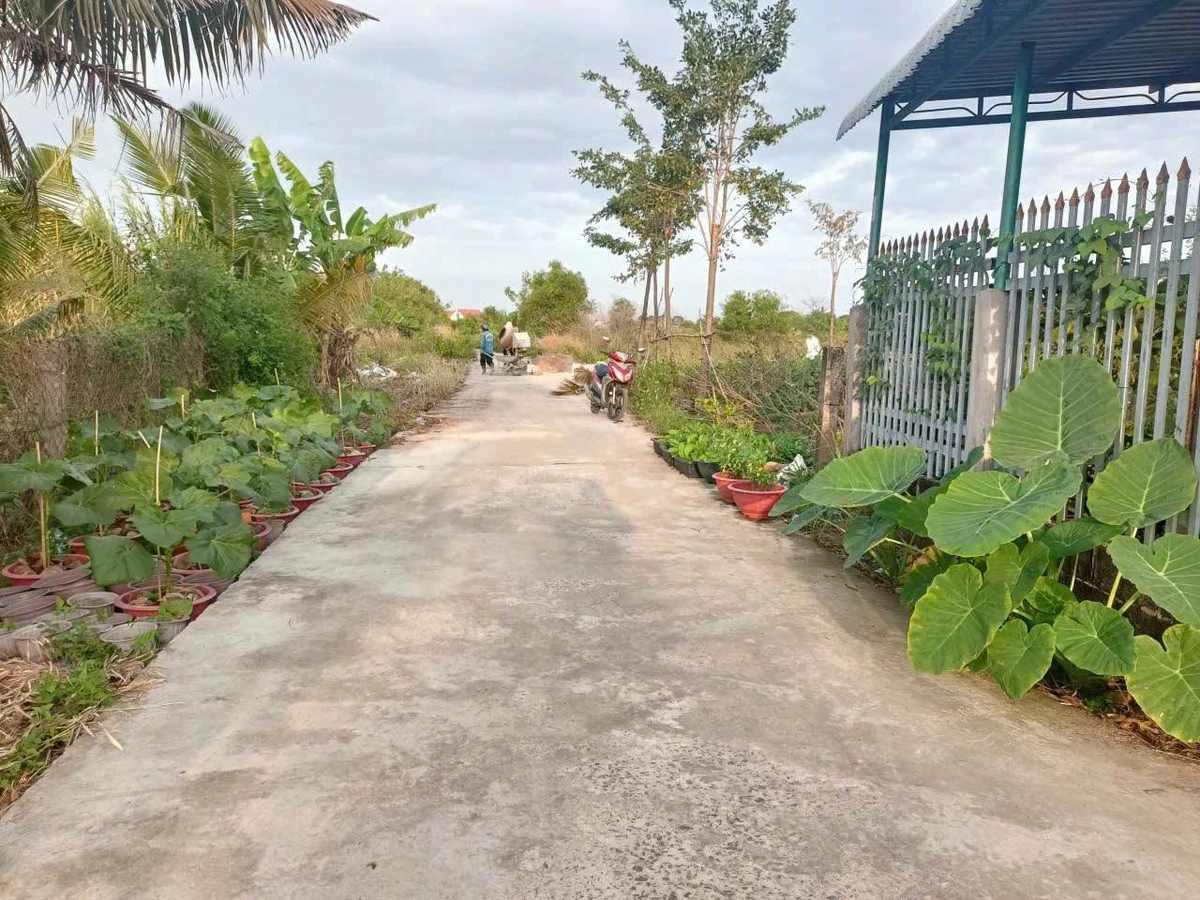 Bán đất CLN 200m2 mặt tiền bê tông, Hàm Liêm, Lâm Đồng - Ảnh thu nhỏ 3