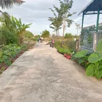Bán đất CLN 200m2 mặt tiền bê tông, Hàm Liêm, Lâm Đồng - Ảnh thu nhỏ 3
