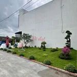 Bán nhà 4x21m 1 trệt 1 lầu 3PN gần chợ Long Thượng, Cần Giuộc giá 2,19 tỷ - Ảnh thu nhỏ 3