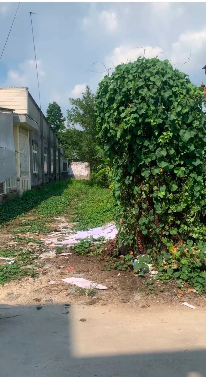 Bán đất 150m² gần chợ Bình Nhâm 1, đường 4,5m, 3,5 tỷ - Ảnh thu nhỏ 2