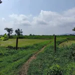 Bán đất trồng cây 1 sào 2 Thuận Bắc, Khánh Hòa - Ảnh thu nhỏ 1