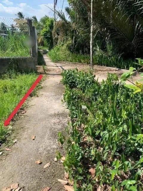 Bán đất 281m² Xã Mỹ Thạnh An, Bến Tre, 790 triệu - Ảnh thu nhỏ 3