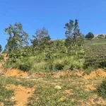 Bán đất trồng cà phê chè 6300m2, giá 1,32 tỷ - Ảnh thu nhỏ 4