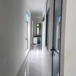 Bán nhà sân vườn 328m² 4 phòng ngủ Tân Lập, Buôn Ma Thuột - Ảnh thu nhỏ 3