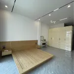 Bán shophouse MT 4x11, Phạm Quý Thích, Tân Phú - Ảnh thu nhỏ 5