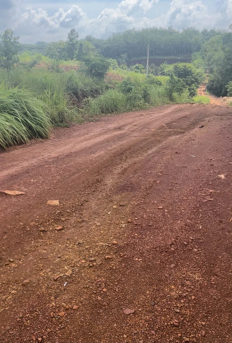 Bán đất 1000m2 ở Đồng Phú, 290 triệu - Ảnh 1