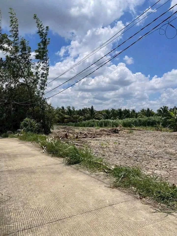 Bán đất vườn 1540m² Xã Vĩnh Công Tây Ninh giá 999 triệu