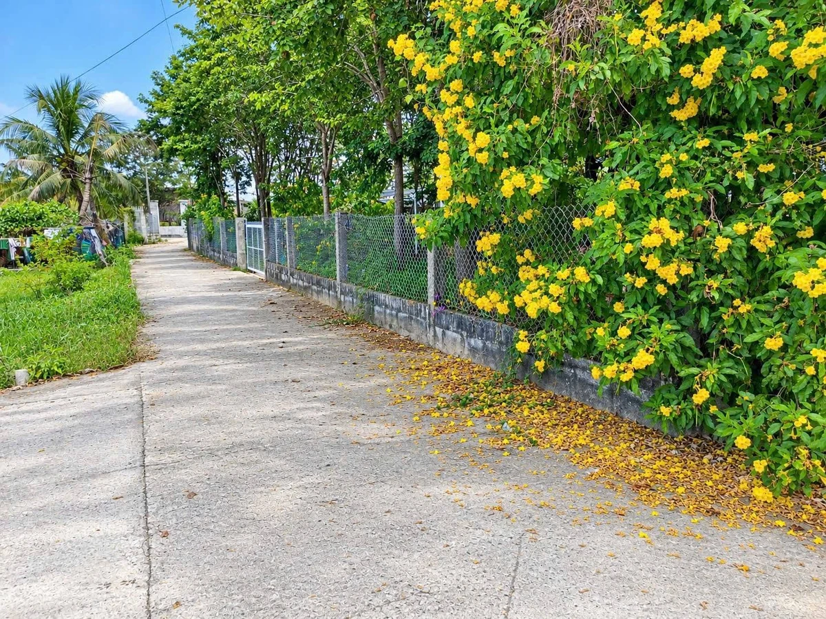 Bán lô đất 1450m2 Xã Hàm Liêm Lâm Đồng 1 tỷ 300 - Ảnh thu nhỏ 2