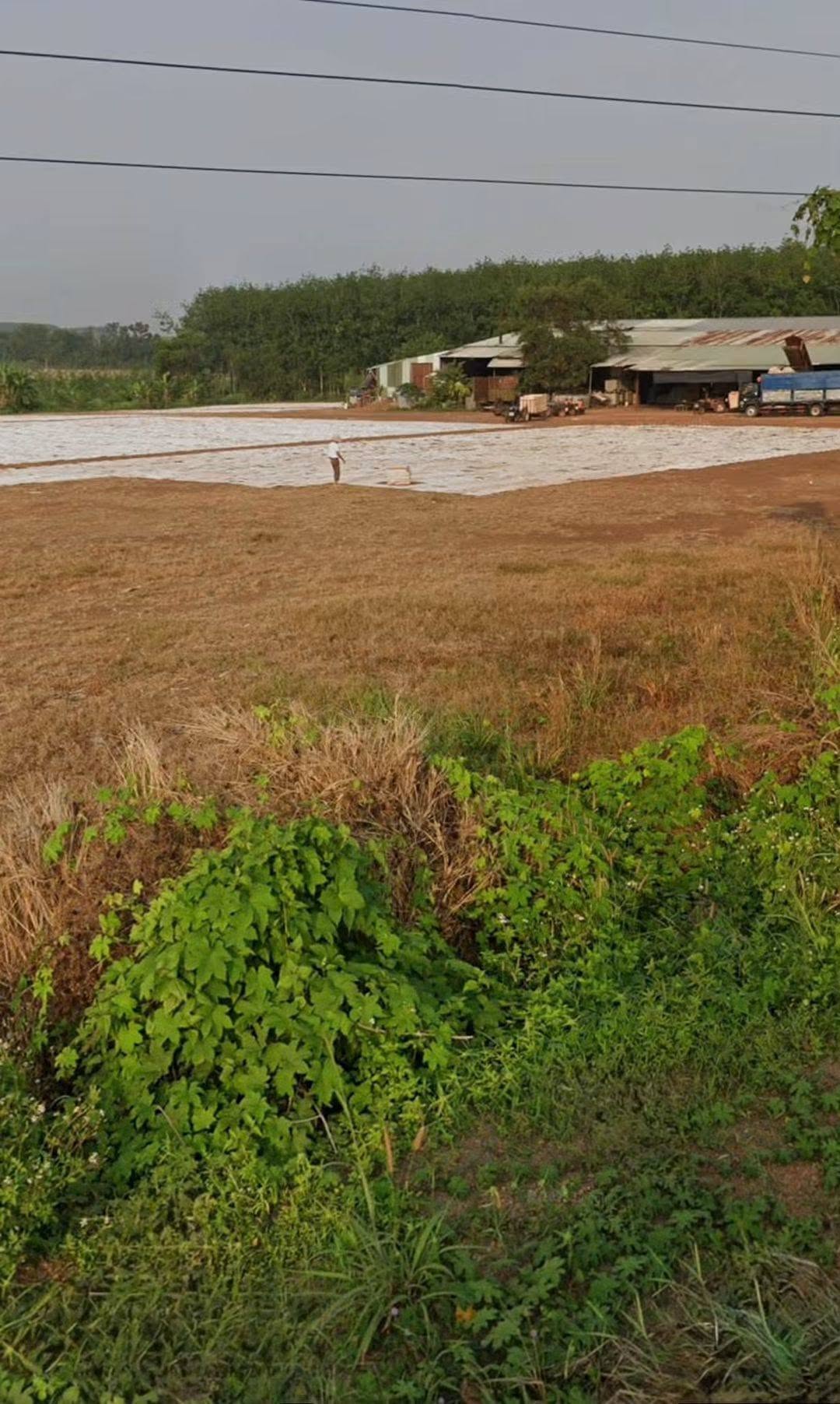 Bán 1,3 ha đất công nghiệp Đồng Phú, mặt tiền 89m, 1 tỷ