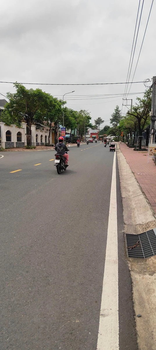 Bán đất mặt tiền 160m² Bùi Ngọc Thu, Bình Dương - Ảnh 1