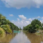 Bán đất nền 5870m2 có nhà cấp 4 tại Kiên Giang - Ảnh thu nhỏ 3