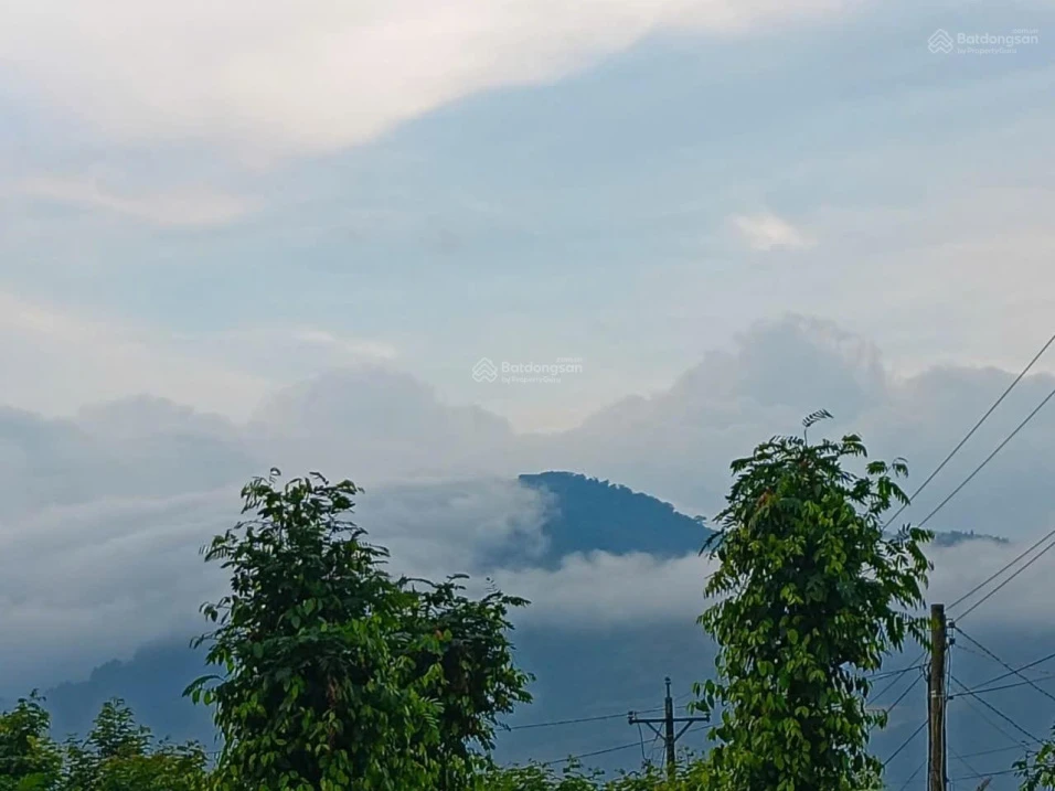 Bán gấp nhà & đất Gia Hiệp, Di Linh, Lâm Đồng (có sẵn dòng tiền 200tr/năm - giá còn thương lượng) - Ảnh thu nhỏ 2