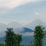 Bán gấp nhà & đất Gia Hiệp, Di Linh, Lâm Đồng (có sẵn dòng tiền 200tr/năm - giá còn thương lượng) - Ảnh thu nhỏ 2