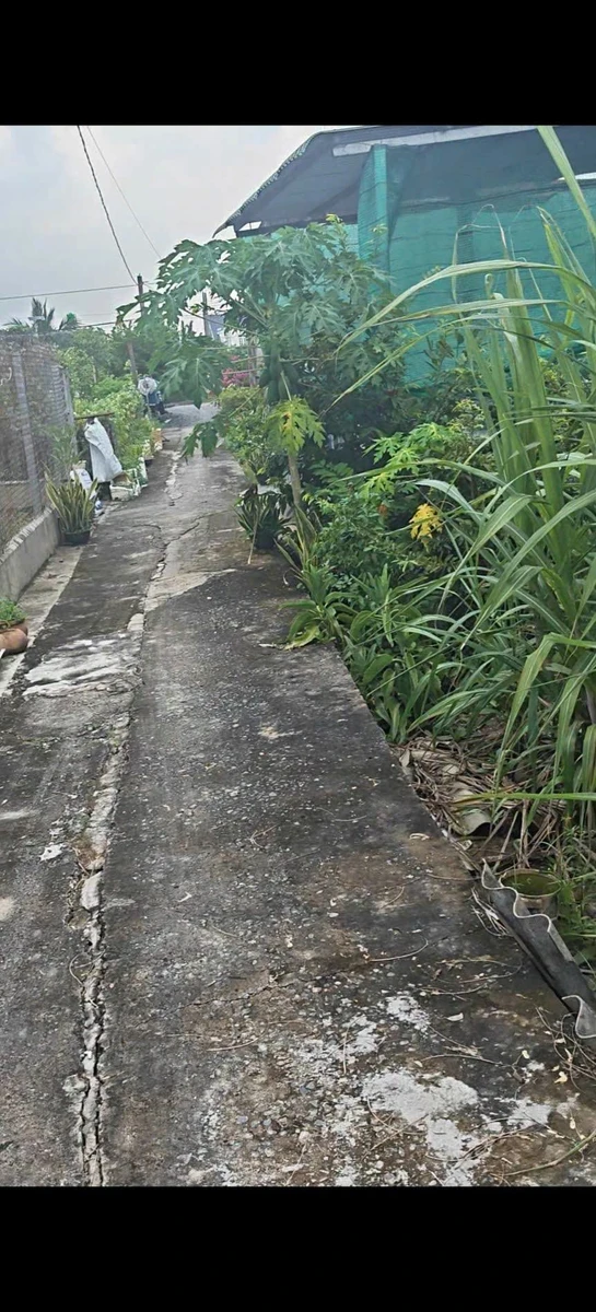Bán lô đất 130 m² Xã Long Hòa, Cần Đước, Long An - Ảnh thu nhỏ 2