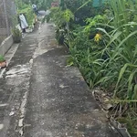 Bán lô đất 130 m² Xã Long Hòa, Cần Đước, Long An - Ảnh thu nhỏ 2