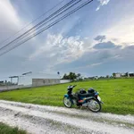 Bán 1000m² đất Mỹ Hạnh Nam, Bình Chánh 3.8 tỷ - Ảnh thu nhỏ 3