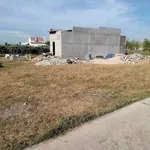 Bán lô thổ cư 100m2 mặt tiền đường xe hơi Hàm Liêm, Lâm Đồng - Ảnh thu nhỏ 3