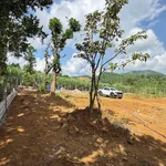 Bán đất 622m² mặt tiền 23m Hợp Phong, Cao Phong, Hoà Bình 599 triệu - Ảnh thu nhỏ 2