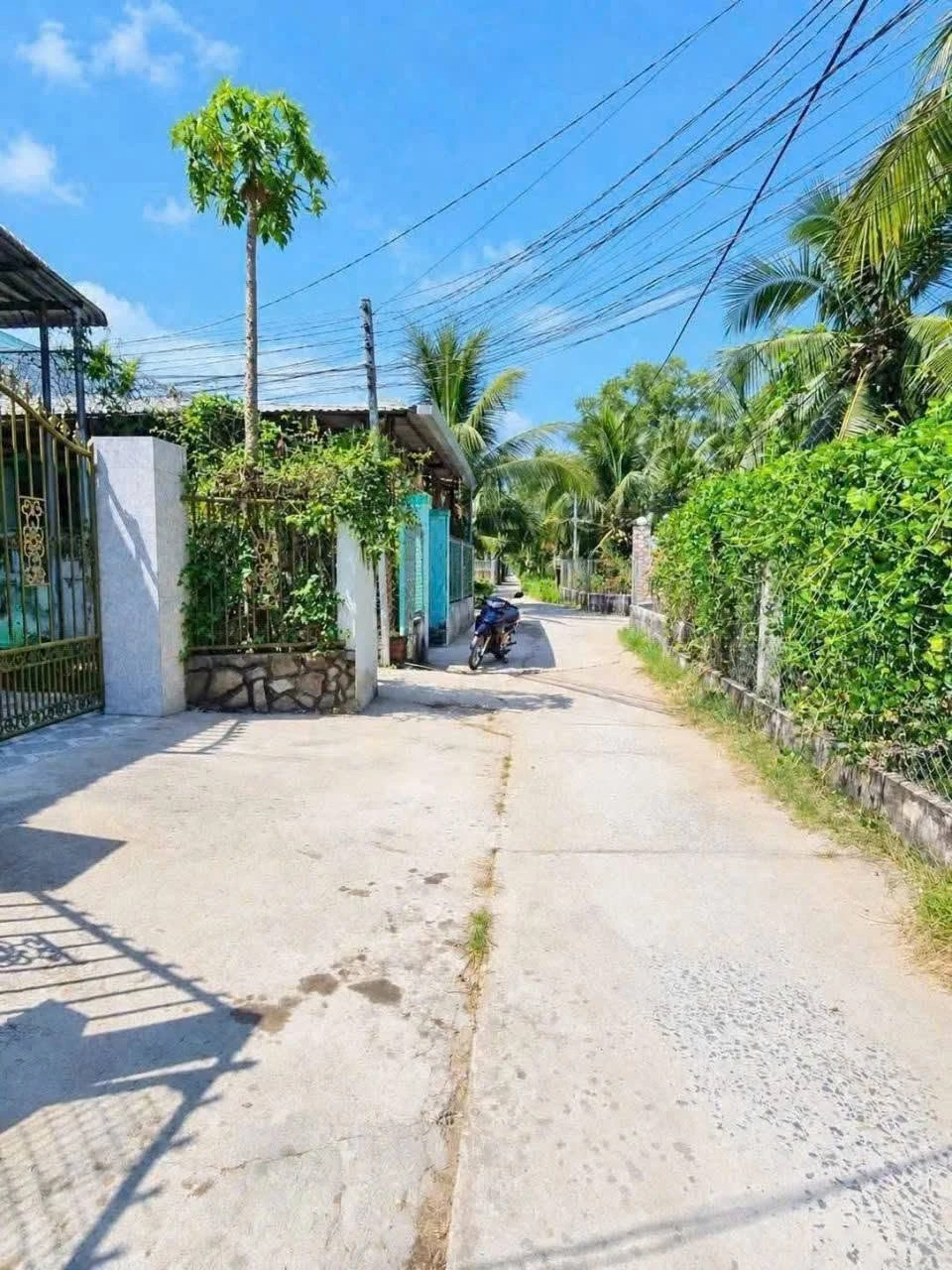 Nhà sân vườn Bình Phú Bến Tre 50m² giá 1,5 tỷ - Ảnh 1