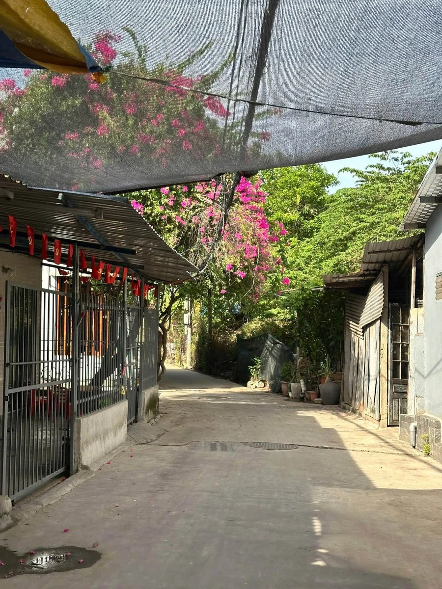 Bán đất kiệt ô tô Đặng Huy Trứ, 100m², 1,68 tỷ - Ảnh thu nhỏ 3