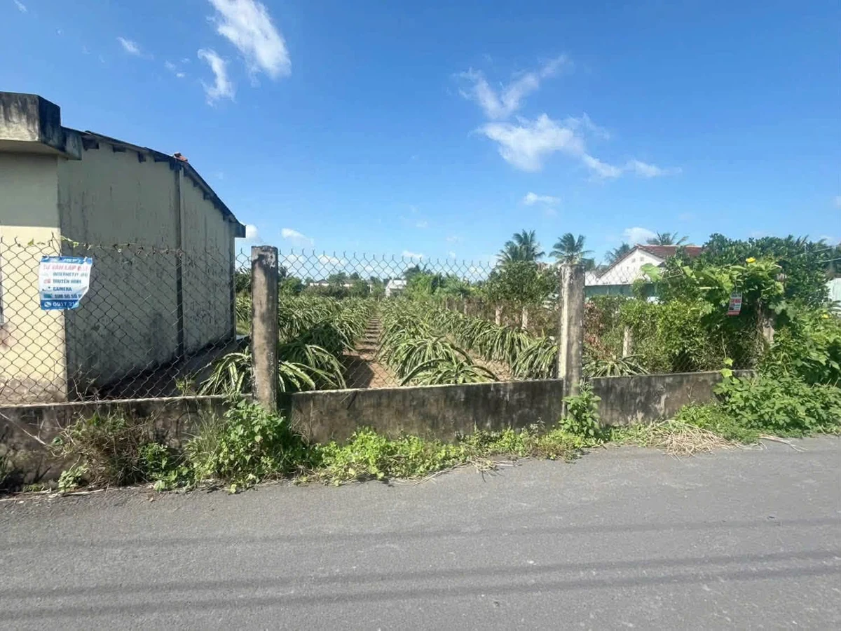 Bán quỹ đất 2.000m² full thổ cư mặt tiền Tây Ninh - Ảnh thu nhỏ 2