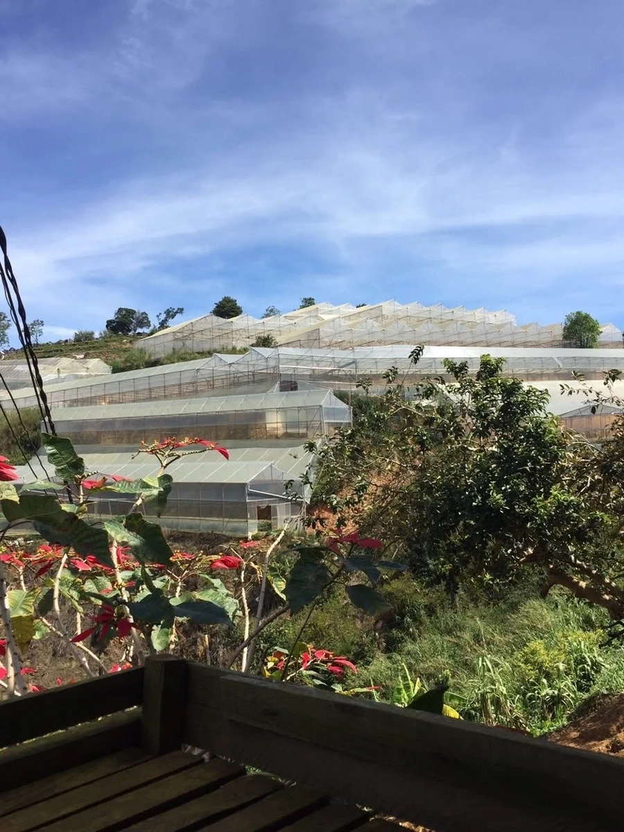 Bán đất 8000m² nhà kính Phường 7, Nhà Bè 8 tỷ - Ảnh thu nhỏ 5