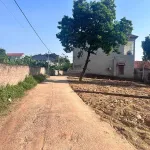 Bán lô đất đẹp xã Trung Mỹ, Bình Xuyên, gần khu công nghiệp Bá Thiện 99m2 MT 6,6m nở hậu giá 950tr - Ảnh thu nhỏ 11