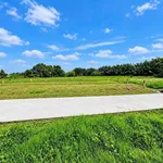 Bán 500m² đất vườn Cần Giuộc 750 triệu sổ trọn - Ảnh thu nhỏ 2