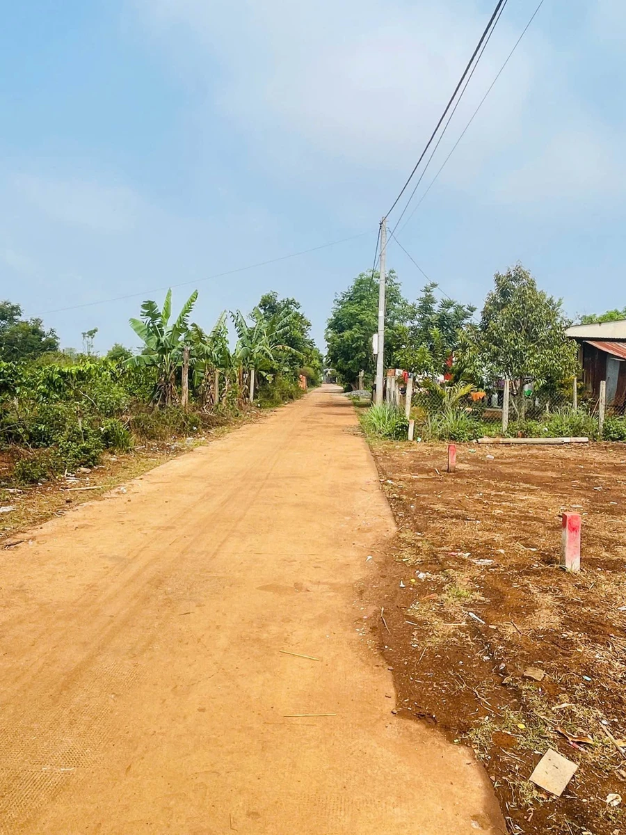 Bán lô đất hẻm Đào Duy Từ 50m2 Quận 12 - Ảnh thu nhỏ 2