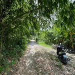 Thiện chí bán đất gần núi Két, Chợ Nhà Bàng, Tịnh Biên An Giang - Ảnh thu nhỏ 16